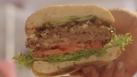 Katzenfutter im Burger - Ein Miau mit Tomate und Gurke