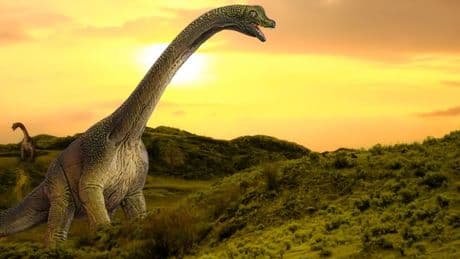 Dinosaurs may hold unlikely key to cancer breakthroughs say scientists