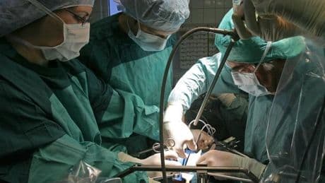 Gesundheitsproblem: 2024 mehr Organspender und Organtransplantationen in Sachsen