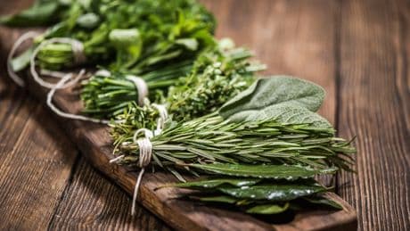 El truco definitivo para conservar las hierbas aromáticas en perfecto estado