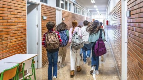 Forscher nimmt Migrationsquote an Schulen auseinander: "Nicht zu Ende gedacht"
