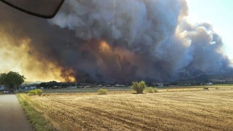 Über 10.000 Hektar Fläche: Schwerster Waldbrand des Jahres wütet in Südfrankreich