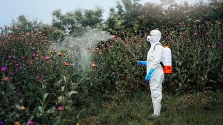 Le glyphosate favorise-t-il le cancer ? Une nouvelle étude relance le débat