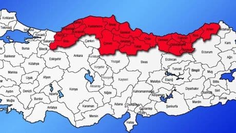 Karadeniz için "sessiz salgın" uyarısı: Kas ağrısı, baş ağrısı, halsizlik yaşıyorsanız dikkat