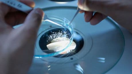 Cancer: un nouveau traitement révolutionnaire pousse les cellules tumorales à s'autodétruire