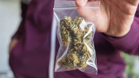 Personal use of small amounts of cannabis should be decriminalised, major report demands