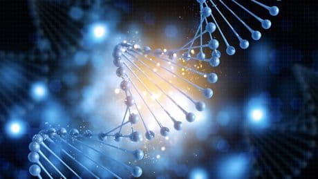 Estudian el ADN y descubren que algunos humanos han evolucionado para vivir durmiendo 4 horas