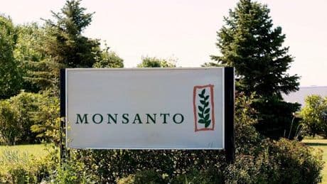 Bayer: Lasst Monsanto leben!