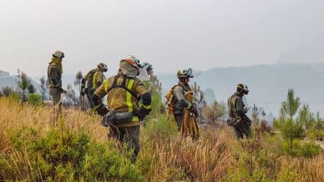 Firmado el convenio con Tragsa para mejorar las condiciones laborales y salariales de los bomberos forestales en España