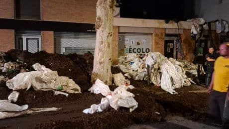 Loi Duplomb : des agriculteurs vandalisent les locaux des Ecologistes à Toulouse