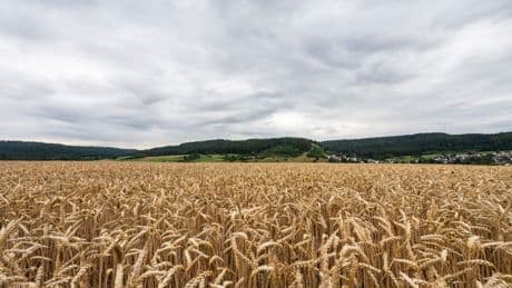 Donnerstag oft bewölkt mit etwas Regen im Osten