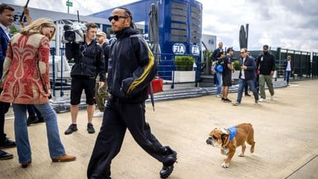 Lewis Hamilton reveals special ‘Ferrari’ outfit he is set to dress dog Roscoe in for Silverstone and Monza F1 races