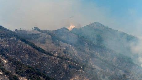 Incendie près de Naples sur les flancs du Vésuve, fermé aux touristes