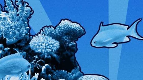 « L’océan reste le grand absent des stratégies d’entreprise alors que 40 % des emplois en France dépendent des milieux marins »