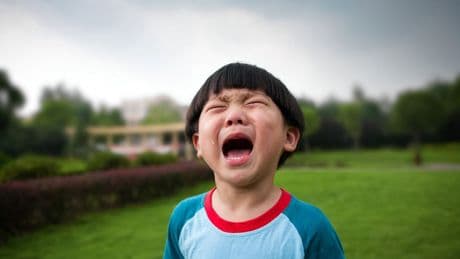 Zeer voorzichtig omgaan met algoritmes en kunstmatige intelligentie die emoties kunnen herkennen, waarschuwt AP