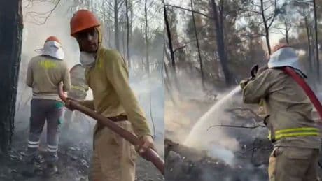Orman yangınlarında son durum ne? "10 ayrı noktada devam eden yangınlar için mücadelemiz devam ediyor"