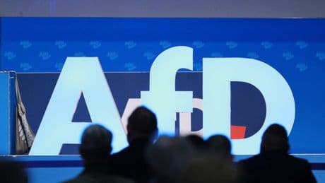 AfD-Verbot: Warum zögern die Parteien bei einem AfD-Verbotsverfahren?