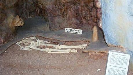Mystery behind primitive horned skull fused to a cave WALL is finally solved