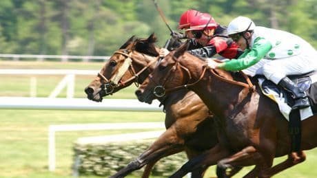 Clients vieillissants, concurrence des paris sportifs… La crise du PMU fragilise toute la filière hippique