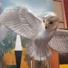 La Chouette d'or de la première édition a été retrouvée à Dabo en Moselle
