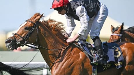 Royal Ascot hammer blow as superstar horse Kyprios retires just weeks before third Gold Cup bid