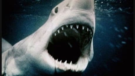 Just when you thought it was safe to go back in the water, 'Jaws' 50th anniversary is here