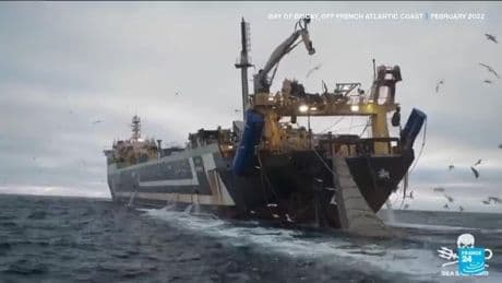Scientists, activists call for ban on bottom trawling ahead of UN ocean summit