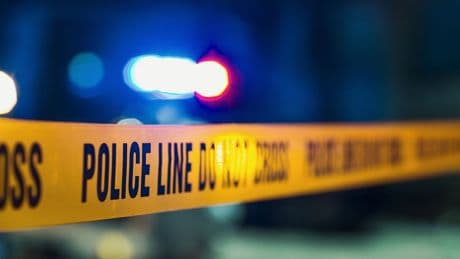 Thieves cut through wall, safe to steal $1.3 million in jewelry in Illinois