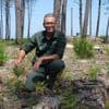 "La forêt est mutilée mais vivante" : à La Teste-de-Buch, les pins renaissent lentement de leurs cendres, trois ans après les incendies