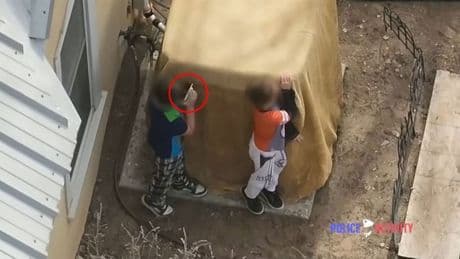 Boys wearing pyjamas wave loaded gun at police who fire shots back at them