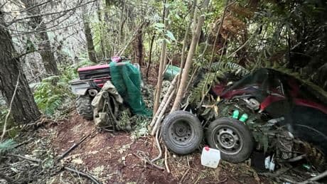 New Zealand police investigate how a man hid his 3 children in a forest for years without discovery