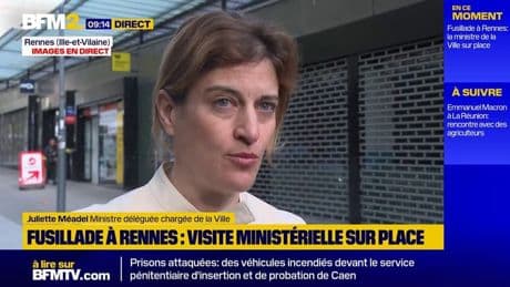 Fusillade à Rennes: la ministre Juliette Méadel pointe les conséquences du trafic de stupéfiants