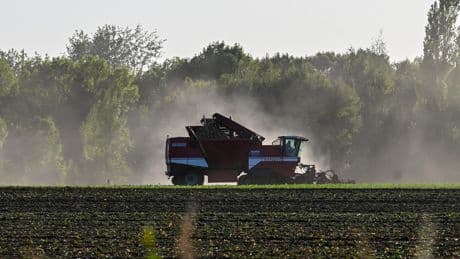 À quel point les néonicotinoïdes sont-ils nocifs, pour la santé humaine et pour l’environnement?
