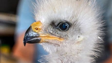 Wildtierauffangstation des Kreises Kleve: „Die Station ist keine Tier-Wellness-Oase“