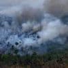 Tropical forests destroyed at fastest recorded rate last year