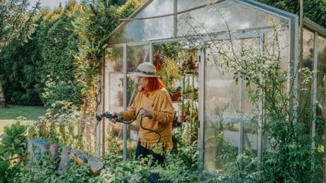 Agrivoltaik im heimischen Garten: So bauen Sie Ihr eigenes Solar-Treibhaus