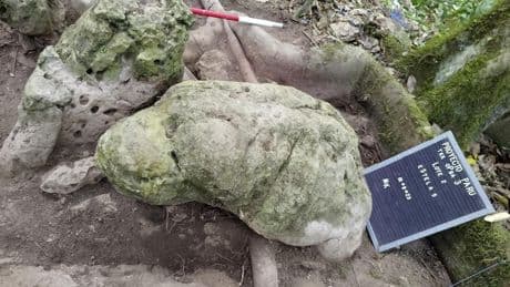 Au Guatemala, découverte des vestiges d’une cité maya de 2 800 ans
