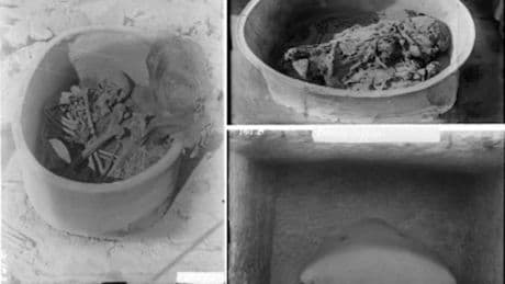 Forscher enthüllen 4800 Jahre alte genetische Verbindungen zwischen frühen Kulturen