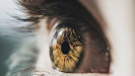Inyectan oro en un ojo y podrían haber solucionado un problema que afecta a 700.000 españoles