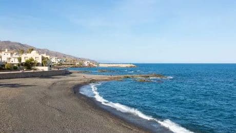 Blue Dragon plague sees tourists banned from three more Costa Blanca beaches
