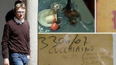 Garlasco, «il Dna sulla spazzatura è di Alberto Stasi e Chiara Poggi»: i risultati dell'incidente probatorio. I genitori della ragazza: «Basta falsi scoop»