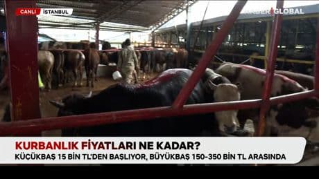 Kurbanlık fiyatları ne kadar?