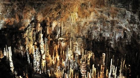 La espectacular cueva al sur de Francia que deja sin palabras a quien la visita: un bosque de estalagmitas