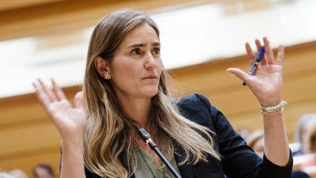 El PP entrega una bolsa de arena tóxica a Aagesen en el Senado y el PSOE denuncia "acoso"