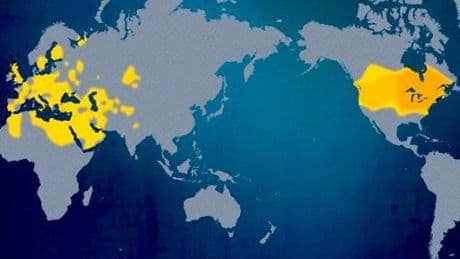 Mystery of ancient DNA marker rewrites story of how humans first reached the Americas