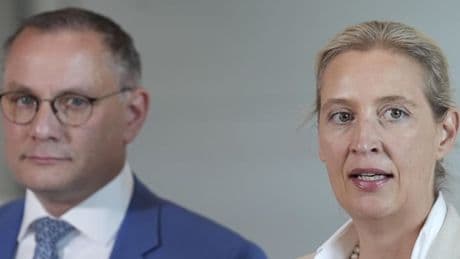 „Nach allem, was ich von der AfD sehe und höre, führt kein Weg an einem Verbot vorbei“