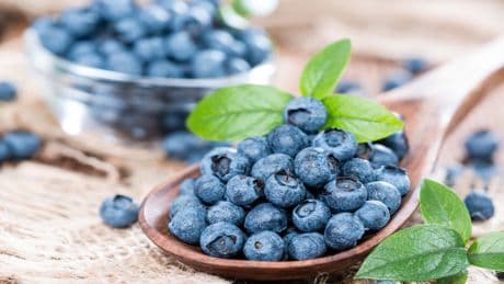 Heidelbeeren liefern echten Zellschutz – aber nur unter einer Bedingung