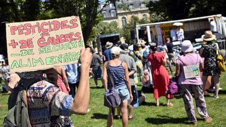 Loi Duplomb : la pétition citoyenne approche le million de signatures