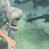 Terrifying moment underwater tourist appears to fight for life in viral video as diver reveal what really happened