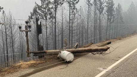 Power shutoff initiative creating ‘wave of fear,’ says Princeton, B.C. mayor